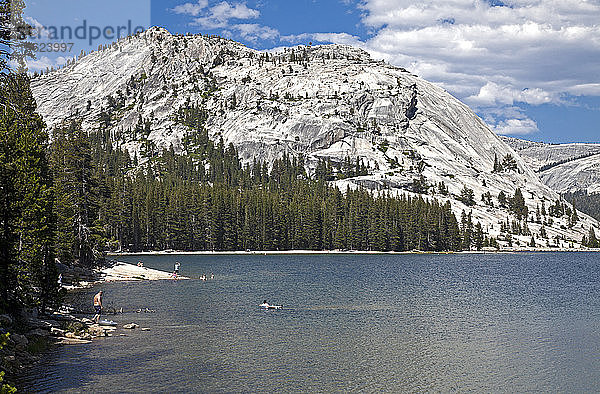 Das Wasser des Tenaya Lake  der vor Jahrtausenden von Gletschern geformt wurde  ist reines Schmelzwasser und erfrischend an heißen Sommertagen. Er ist ein beliebter Zwischenstopp auf der Tioga Road  die den Yosemite National Park in Ost-West-Richtung durchquert.