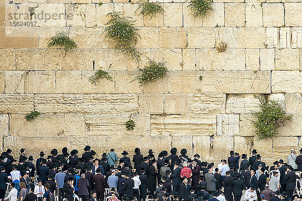 Juden beten an der Klagemauer  Jerusalem  Israel