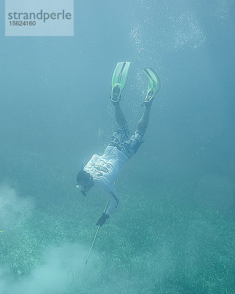 Unterwasserfotografie beim Speerfischen auf den Abacos  den Bahamas