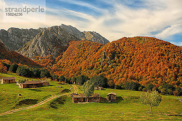 Der 1996 zum Naturpark erklärte und 2001 von der UNESCO als Biosphärenreservat anerkannte Park erstreckt sich über das östliche Zentrum der Netze des Fürstentums Asturien und zeichnet sich durch eine Vielzahl von Landschaften und Kontrasten aus. Selbst Gletscherformationen wie Moränen und Kare  Karstformen in Höhlen  weite Grasflächen und Berge sind zu sehen. Das Netzwerk verfügt über ein Waldgebiet  das 40 % des Territoriums einnimmt. Bra?ï¿½agallones im Naturpark von Redes. Asturien