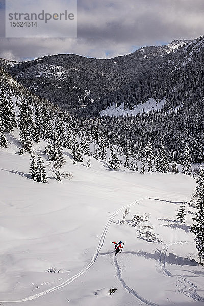 Ein Backcountry-Skifahrer in der Mitte eines Waldes in den Kaskaden von Washington