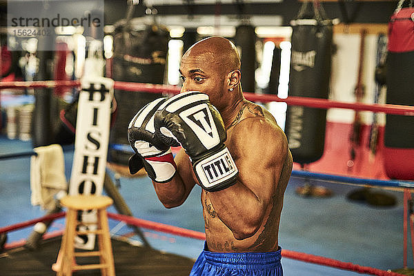 Männlicher Boxer trainiert allein im Boxring  Taunton  Massachusetts  USA