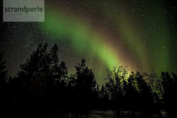 Nordlichter (Aurora Borealis) in Finnisch-Lappland  innerhalb des Polarkreises.