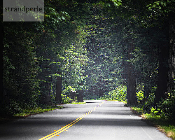 Landschaftlich reizvolle Straße umgeben von Bäumen in Kalifornien  USA.