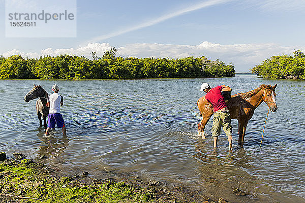 Zwei Männer waschen Pferde am Flussufer  Kuba