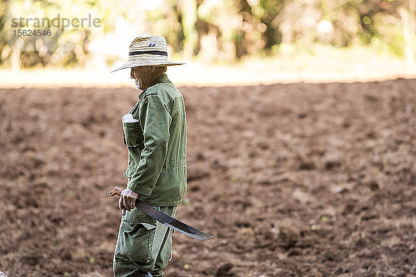 Ein Tabakbauer geht entlang seiner Felder in Vinales  Kuba