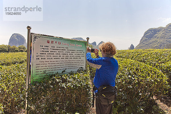 Fuding Duhao  eine Grünteesorte  füllt dieses Feld am Guiliin Tea Science and Research Institute  Guilin  China.