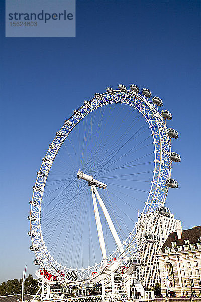 Das London Eye an den Ufern der Themse  London  England