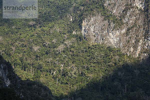 Steile Kalksteinfelsen und bewaldete Hänge oberhalb des Nam Ou-Flusses bei Muang Ngoi  Laos.