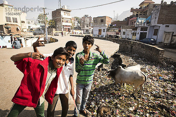 Indische Kinder posieren für ein Foto neben einem Stier  der durch einen Müllhaufen in Jaipur  Indien  läuft.