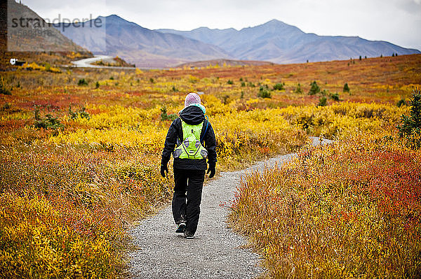 Ein Mädchen wandert auf einem Pfad durch die Herbstfarben im Denali National Park.