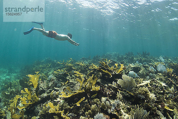 Seitenansicht eines einzelnen Mannes beim Schnorcheln im Korallenriff in Puerto Morelos  Quintana Roo  Mexiko