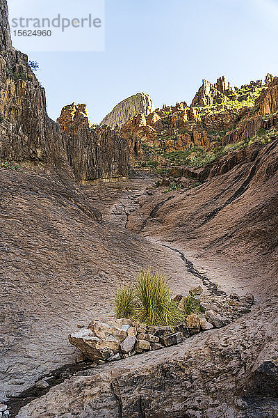 Siphon Draw Trail im Lost Dutchman State Park  Arizona  USA