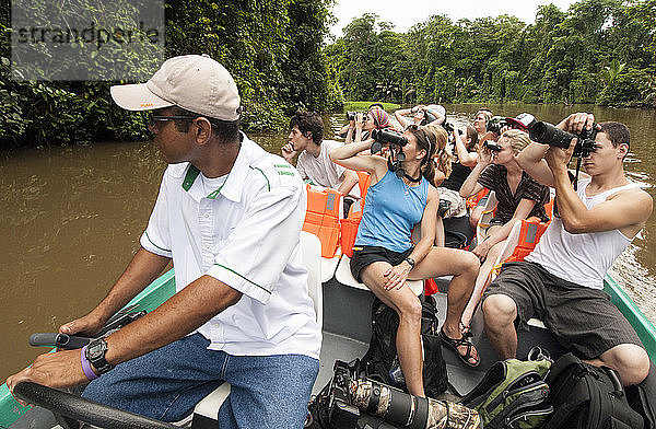 Touristen auf der Suche nach Wildtieren in den Kanälen des Tortuguero-Nationalparks  Costa Rica.