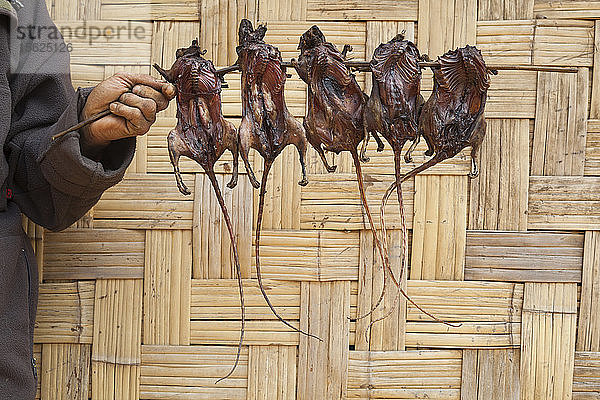 Ein Mann hält einen Spieß mit fünf gegrillten Ratten gegen ein geflochtenes Bambusgitter  das die Wand eines Hauses in Ban Phon Hom  Laos  bildet.