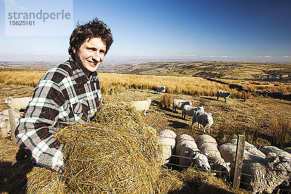 Walter Clay  ein Landwirt  der seine Schafe im Ovenden Moor in der Nähe von Keighley  West Yorkshire  UK  füttert.