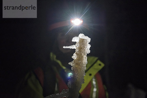 Ein Forscherteam stellt einen Eissturm während des Winters in den White Mountains von New Hampshire nach. Das Team untersucht die Auswirkungen von Eisstürmen auf Böden  Bäume  Vögel und Insekten.