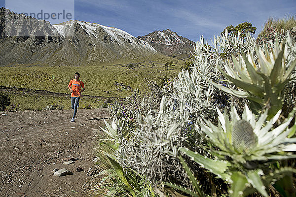 Läufer beim morgendlichen Training am Vulkan El Nevado de Toluca  in der Nähe von Toluca City  Mexiko