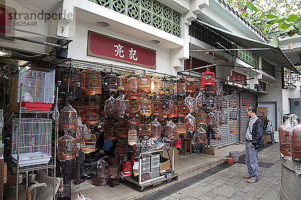 Chinesischer Mann begutachtet die angebotenen Vogelkäfige  Vogelmarkt  Hongkong  China.