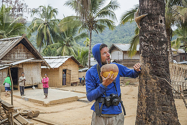 Robert Hahn nippt an einer Kokosnuss  während ein langsamer Loris (Nycticebus sp.)  der aus dem umliegenden Wald gefangen und als Haustier gehalten wurde  eine Kokosnusspalme in Ban Had Dan  Laos  erklimmt.