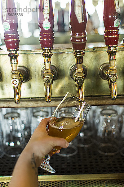 Hand einer Person  die ein Glas mit einem Bierhahn füllt  Seattle  Washington  USA