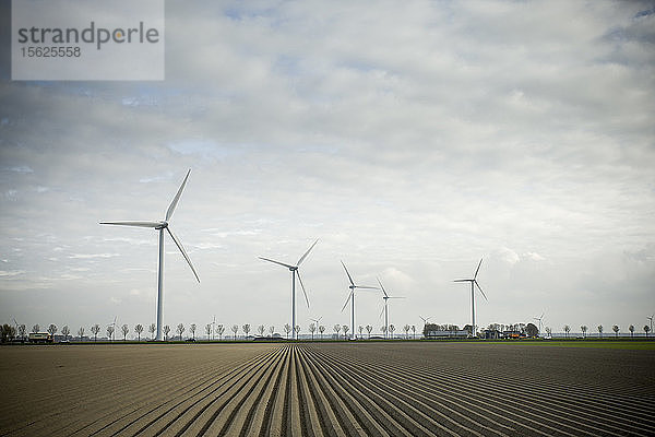 Niederländische Kartoffelfelder und Windkraftanlagen in Flevoland  Niederlande.