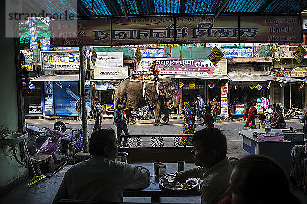 Ein Elefant läuft auf der Straße  Madhya Pradesh  Indien.