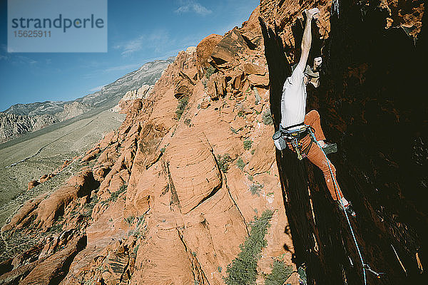 Ein Kletterer führt Brief Encounter (5.8) an der Panty Wall im Red Rock Canyon  Nevada