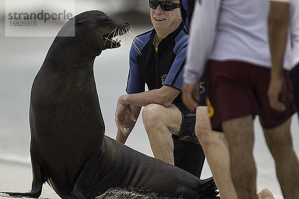 Seelöwe und Touristen  Insel Espanola  Galapagos-Inseln  Ecuador.