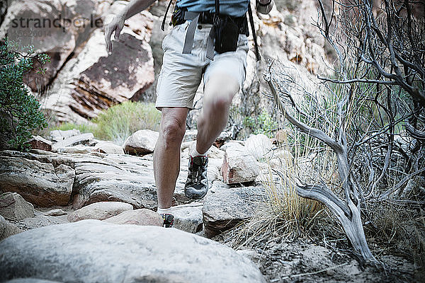Vorderansicht der Beine einer Wanderin  die in der Red Rock Canyon National Conservation Area  Las Vegas  Nevada  wandert. USA.