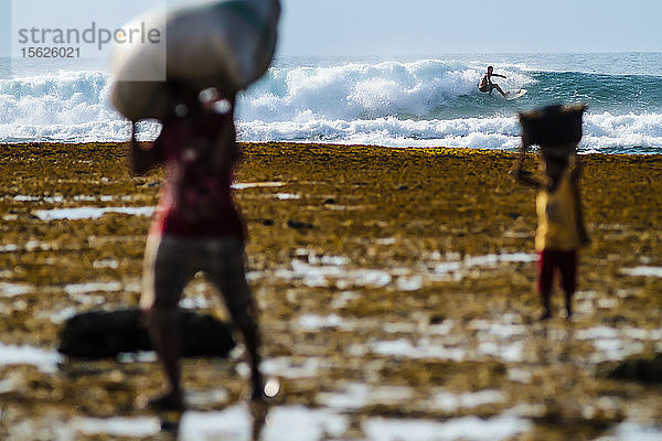 Surfer auf einer Welle im Hintergrund und Menschen mit Säcken im Vordergrund  Lakey Peak  Zentral-Sumbawa  Indonesien
