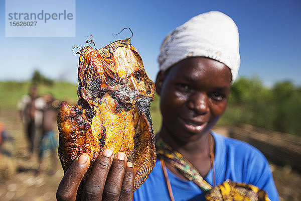 Getrockneter Katzenfisch zum Verkauf im Shire Valley  Malawi.