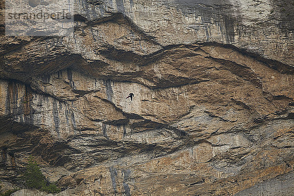 Ein nicht identifizierter Basejumper  der auf einer riesigen Felswand zu sehen ist. Lauterbrunnen  Schweiz.