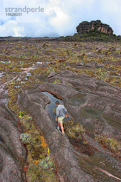 Südwestliche Felswand vom Aufstiegsvorsprung  Berg Roraima (Cerro Roraima)  Tepuis  Estado Bolivar  Venezuela  Südamerika