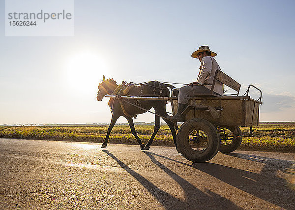 Ein Mann auf einem Pferdewagen fährt auf dem Lande in der Region Cienfuegos vorbei