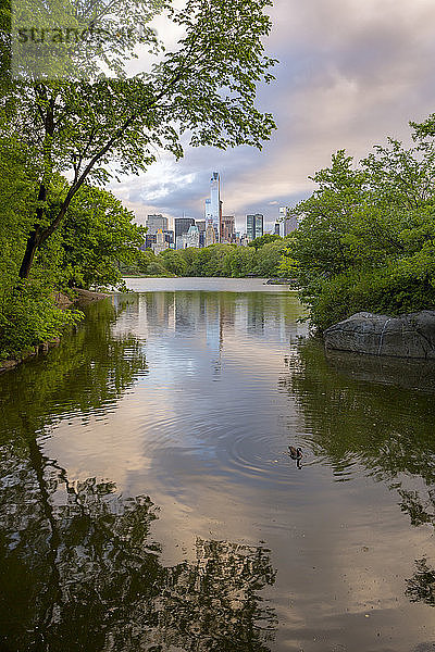 Ansichten des Central Park in Manhattna  New York City  New York.