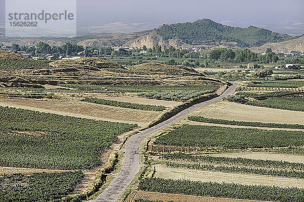 Luftaufnahme von Weinbergen und Olivenhainen in La Rioja  Pamplona  Spanien