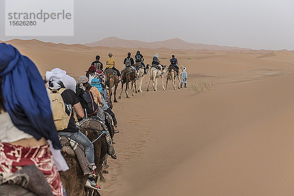 Touristen reiten auf Kamelen in der Wüste Sahara  Merzouga  Marokko