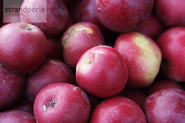 Nahaufnahme von frischen Äpfeln vom Bauernhof. Kalifornien  USA.