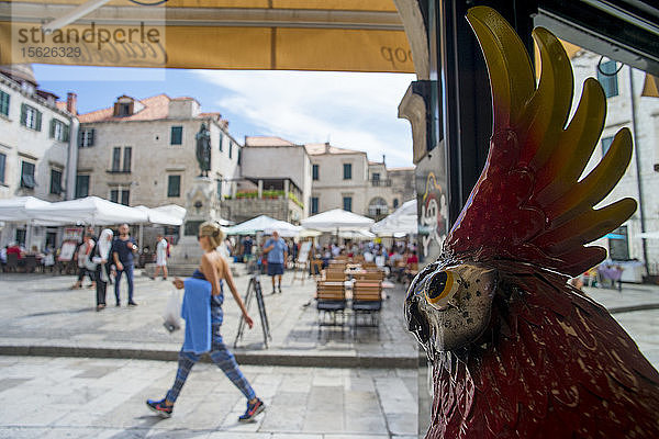 Ein Papagei Statue beobachtet Touristen in der Nähe der Stadtmauer von Dubrovnik  Kroatien  Europa