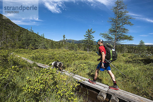 Mann  der mit seinem Hund auf dem Boardwalk spazieren geht  während er in den White Mountains wandert