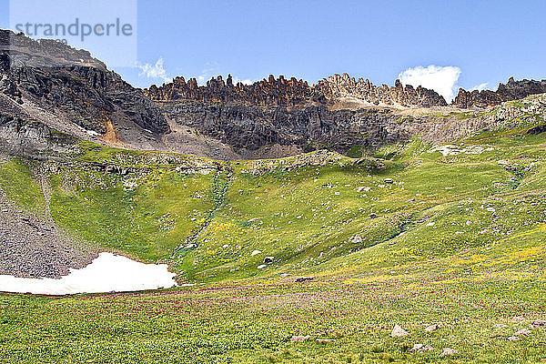 Malerische Landschaft mit Wiese und Bergen  Yankee Boy Basin  San Juan Mountains  Colorado  USA