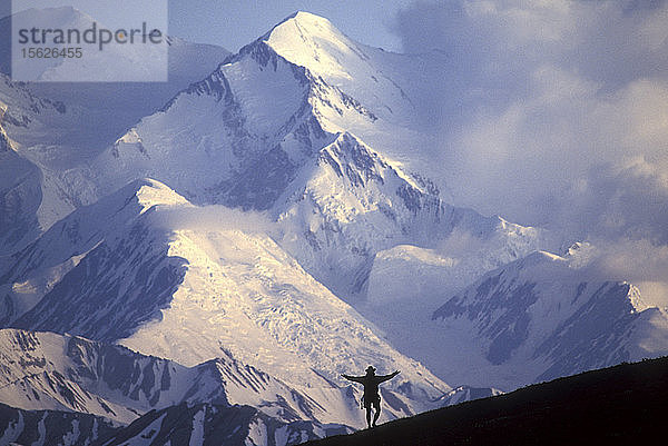USA  Alaska  Denali National Park (MR) Wanderer Evan Steinhauser wandert vor dem Mount McKinley bei Sonnenuntergang