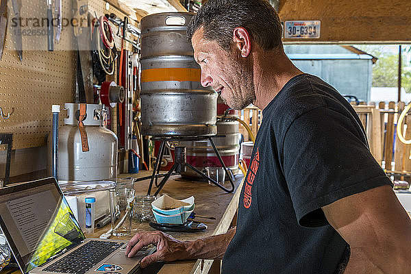 Mann prüft Bierrezepte für das Heimbrauen am Laptop  Bishop  Kalifornien  USA