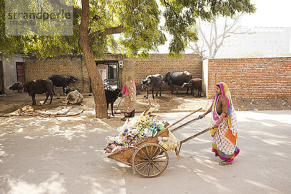 Eine indische Frau schiebt einen mit Müll gefüllten Wagen in Agra  Indien.