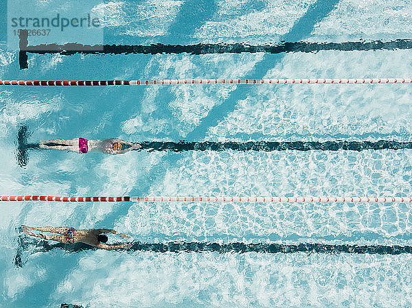 Luftaufnahme von zwei Schwimmern im Schwimmbad  Mallorca  Balearen  Spanien