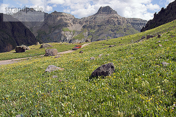 Landschaft mit Wiese mit Wildblumen und Berge und 4x4 Auto auf unbefestigter Straße  Yankee Boy Basin  San Juan Mountains  Colorado  USA