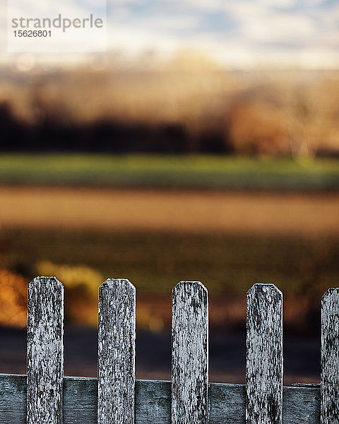 Holzzaun und eine städtische Landschaft im Hintergrund.