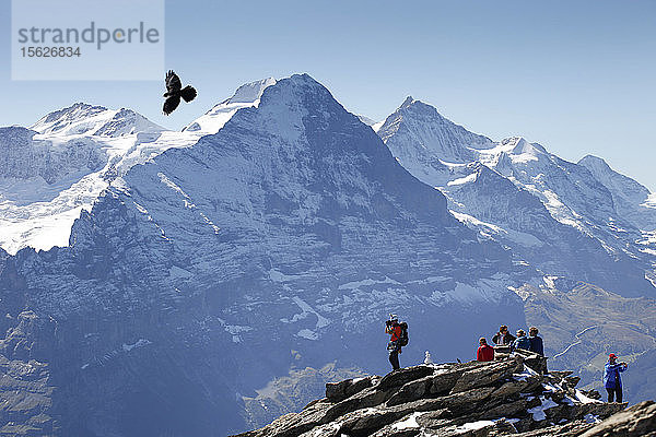 Bergsteiger stehen auf dem Gipfel des Schwarzhorns  einem Berg oberhalb von Grindelwald in den Schweizer Alpen. Im Hintergrund ist die berühmte Eigernordwand zu sehen. Eine schwarze Krähe fliegt über den Gipfeln.