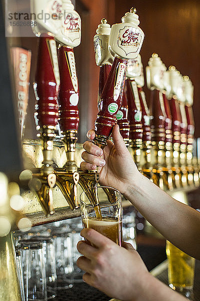 Hände einer Person  die ein Glas mit einem Bierhahn füllt  Seattle  Washington  USA